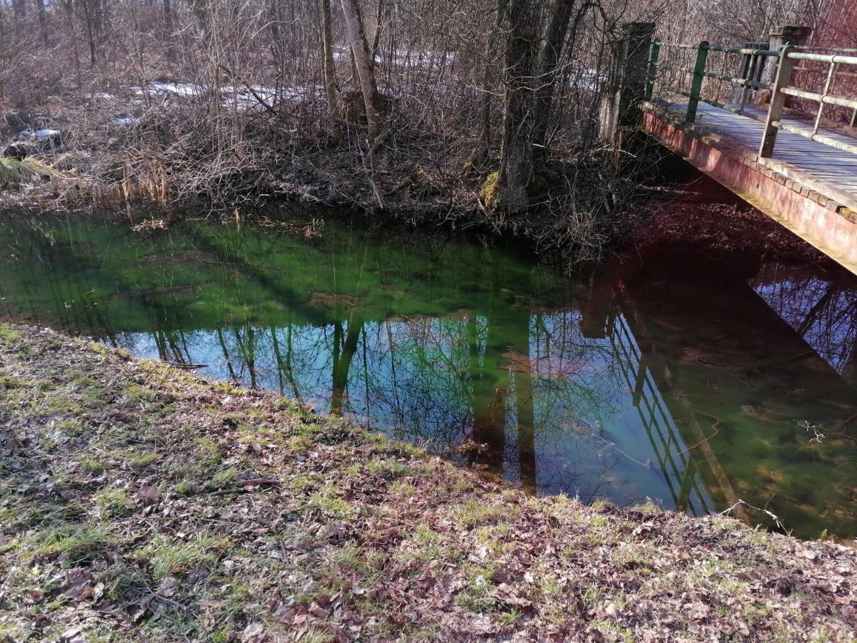 Ferienwohnung Resi Mit Traumhaftem Seepanorama Steindorf am Ossiacher See Exterior foto